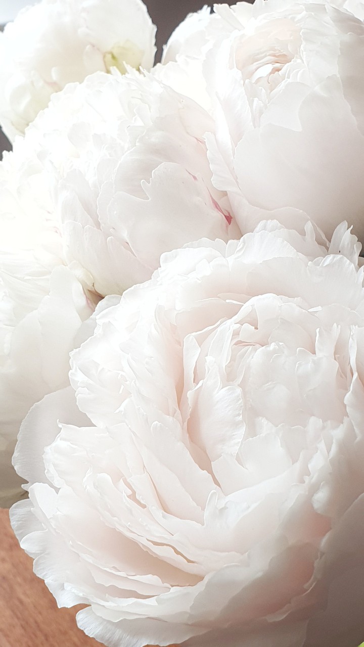 Tenderness