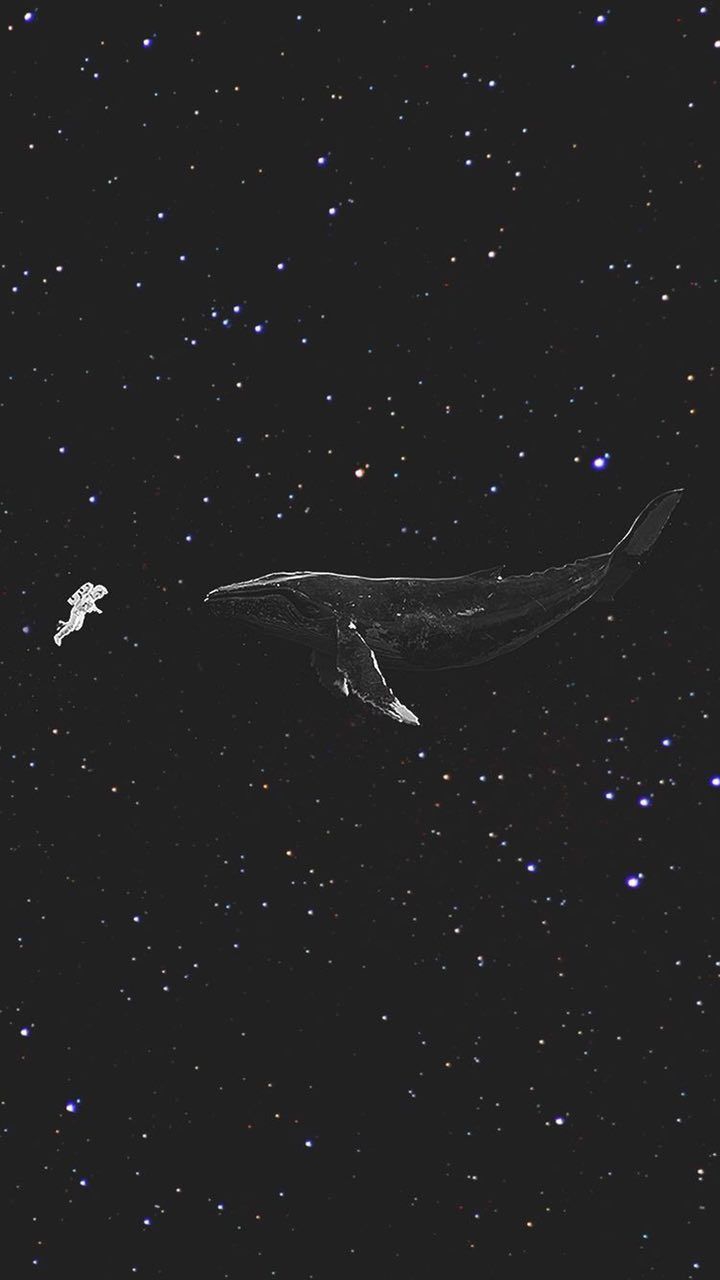 ♤بدون مخاطب