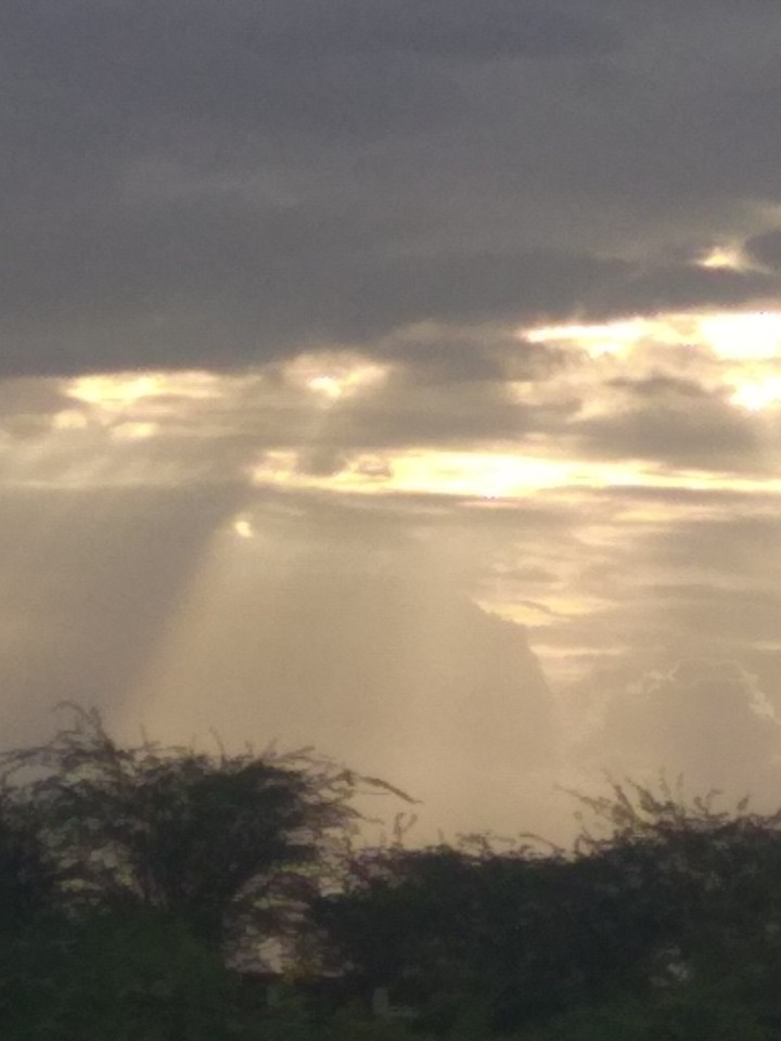 wander sky