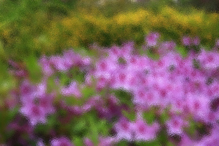 Springtime