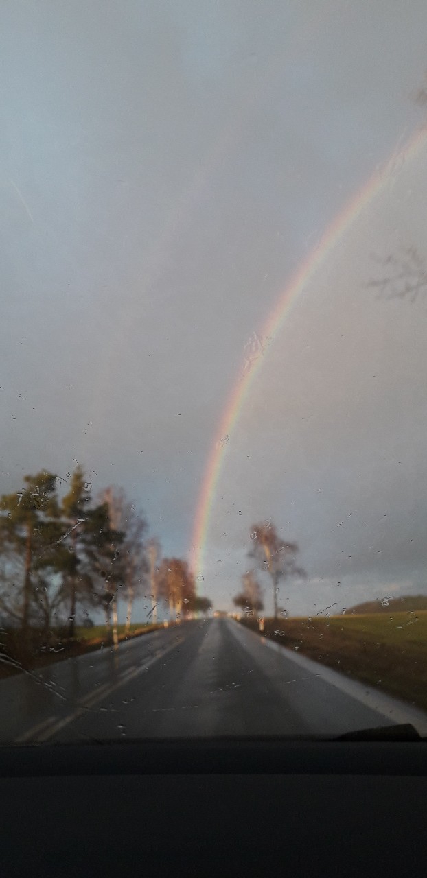 Rainbow