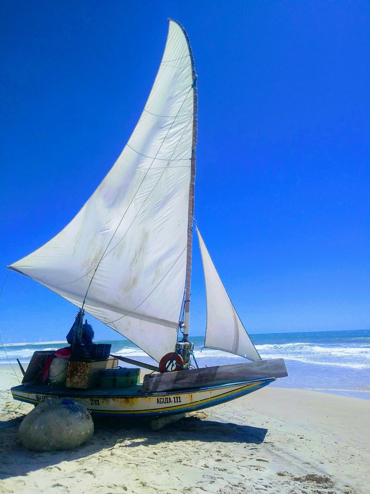 Barcos barquetes