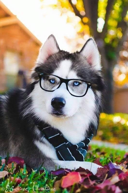 Hermoso