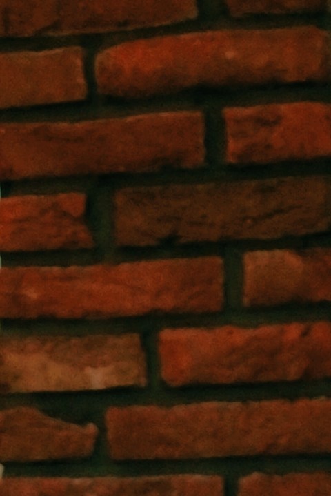 bricks