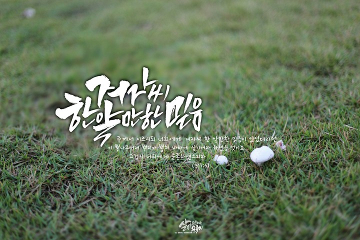 겨자씨 한알만 한 믿음