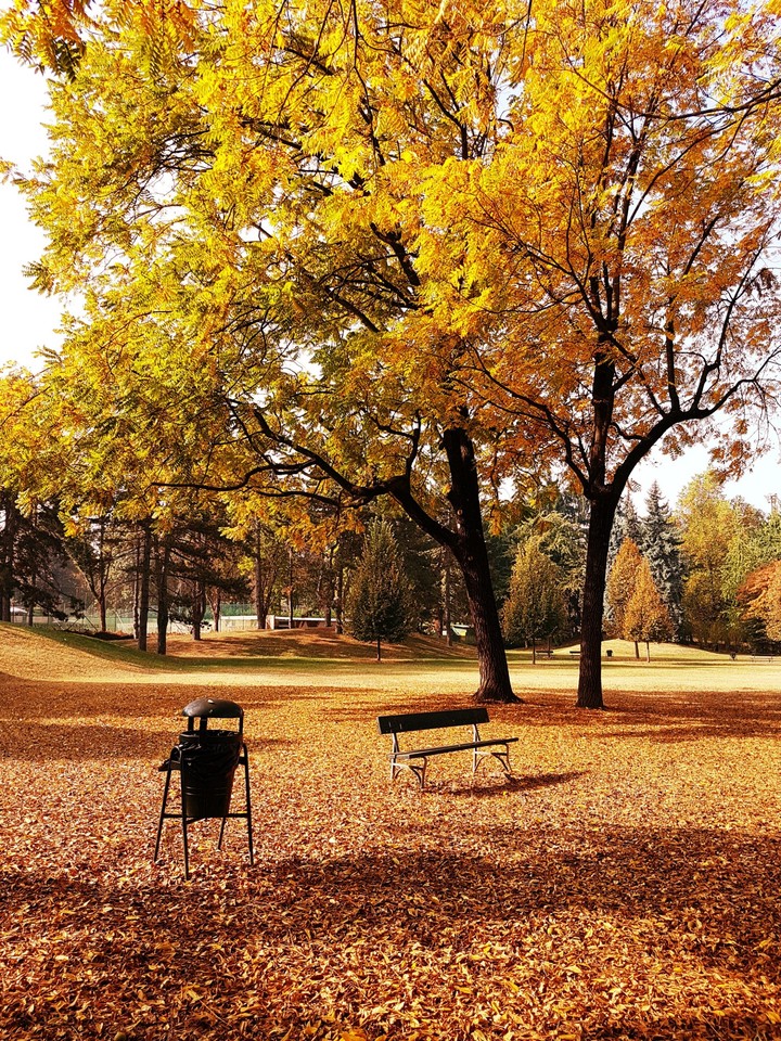 Autumn in Pellerina Park, Turin, Italy