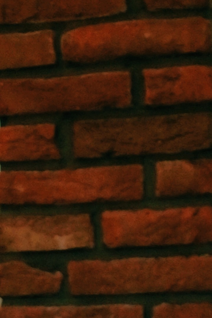 bricks