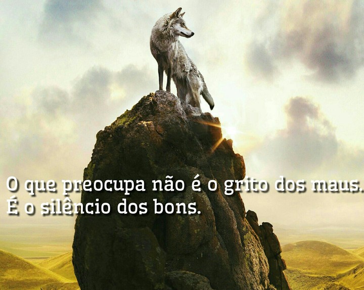O que preocupa não é o grito dos maus.É o silêncio dos bons.