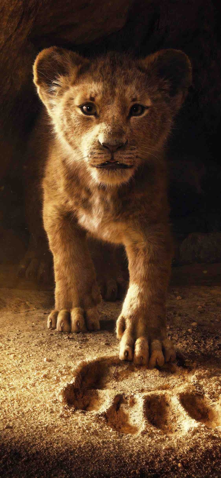 The Lion King