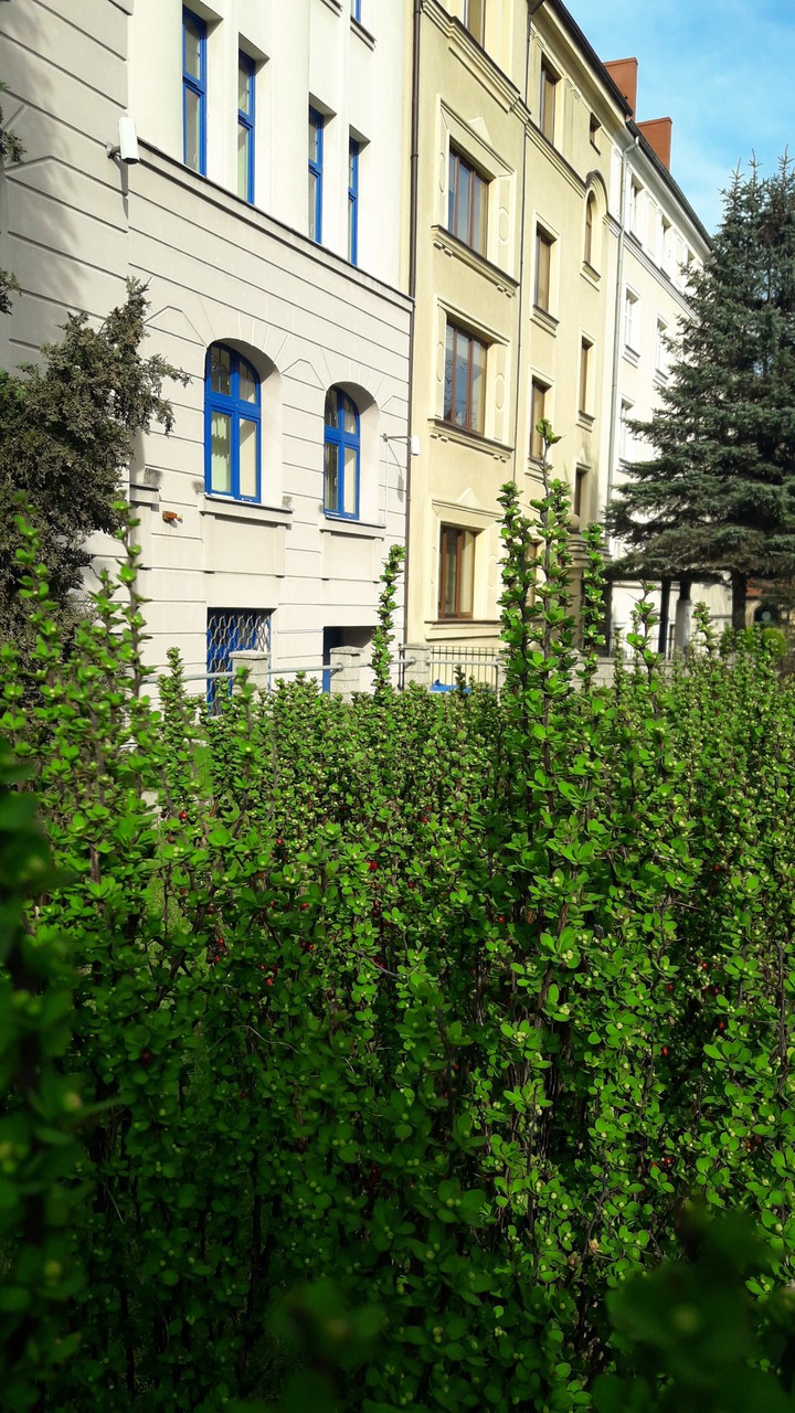 architecture