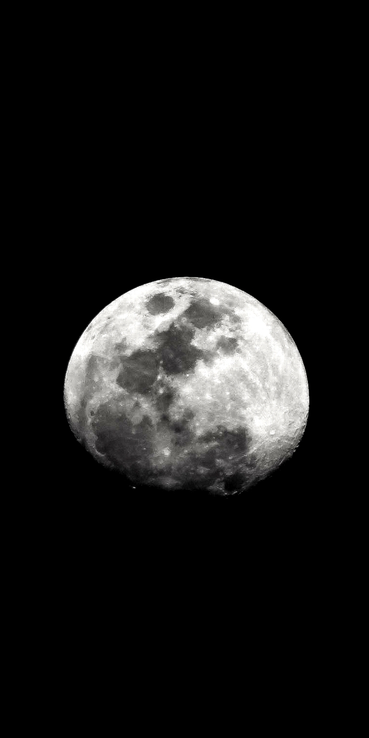 THE BOLD MOON