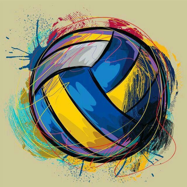 Volleyball ball