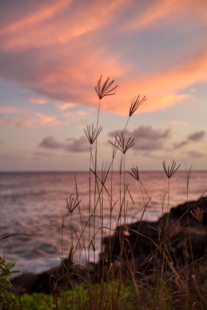 Beachview