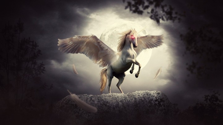 Devils unicorn