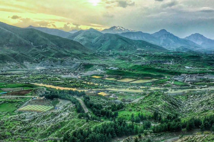 green landscape
