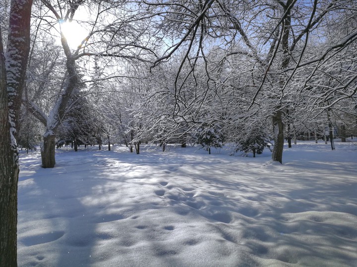 winter fairy tale