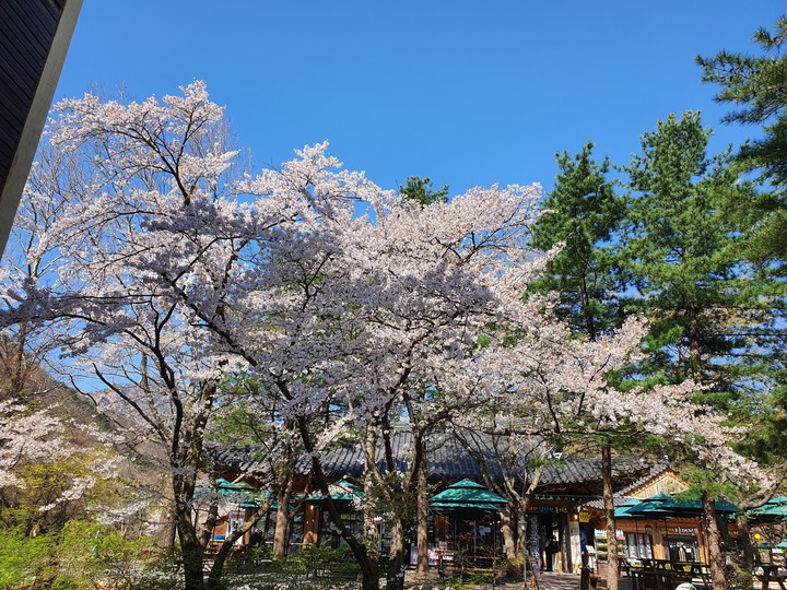 설악산인가?