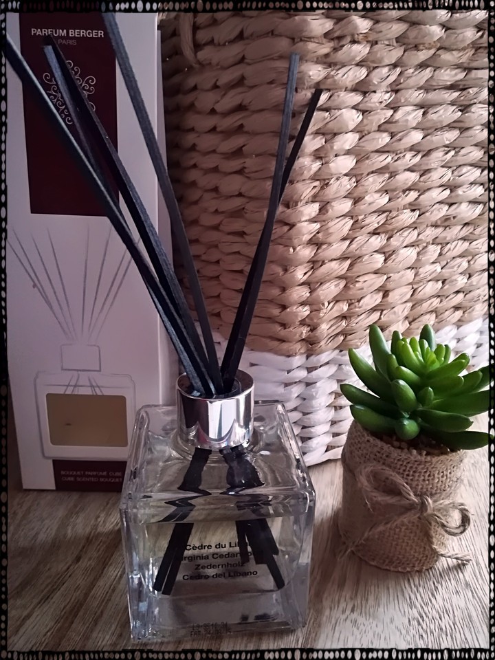 Parfum cèdre du liban
