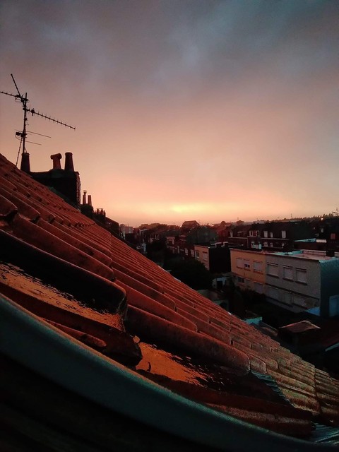 paysage