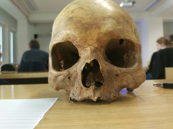 HumanBiology