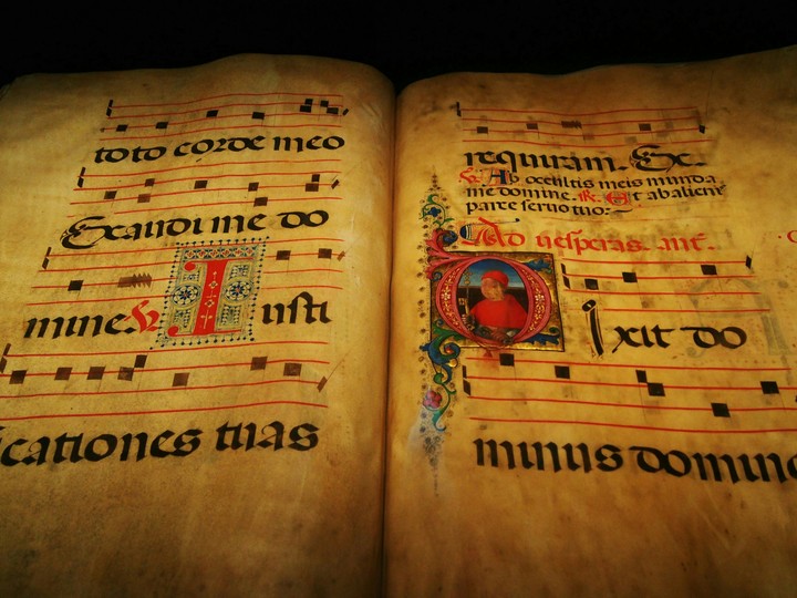 Reinessance Book