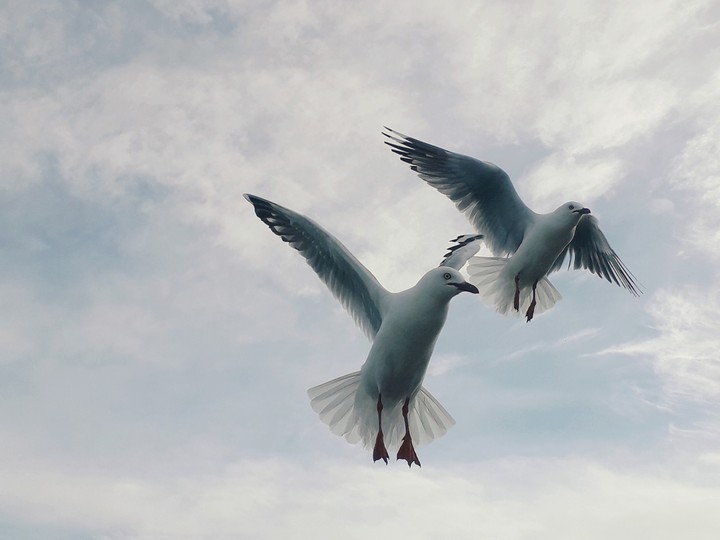 Flying high