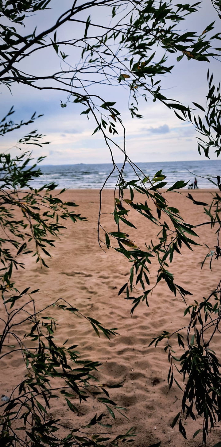 beach