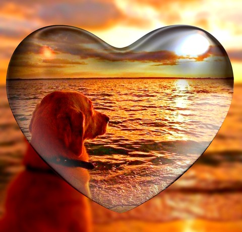 Sunset on the Beach