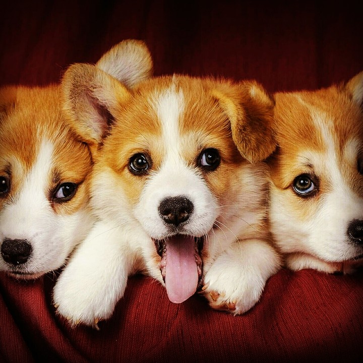 cute...