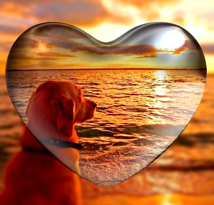 Sunset on the Beach