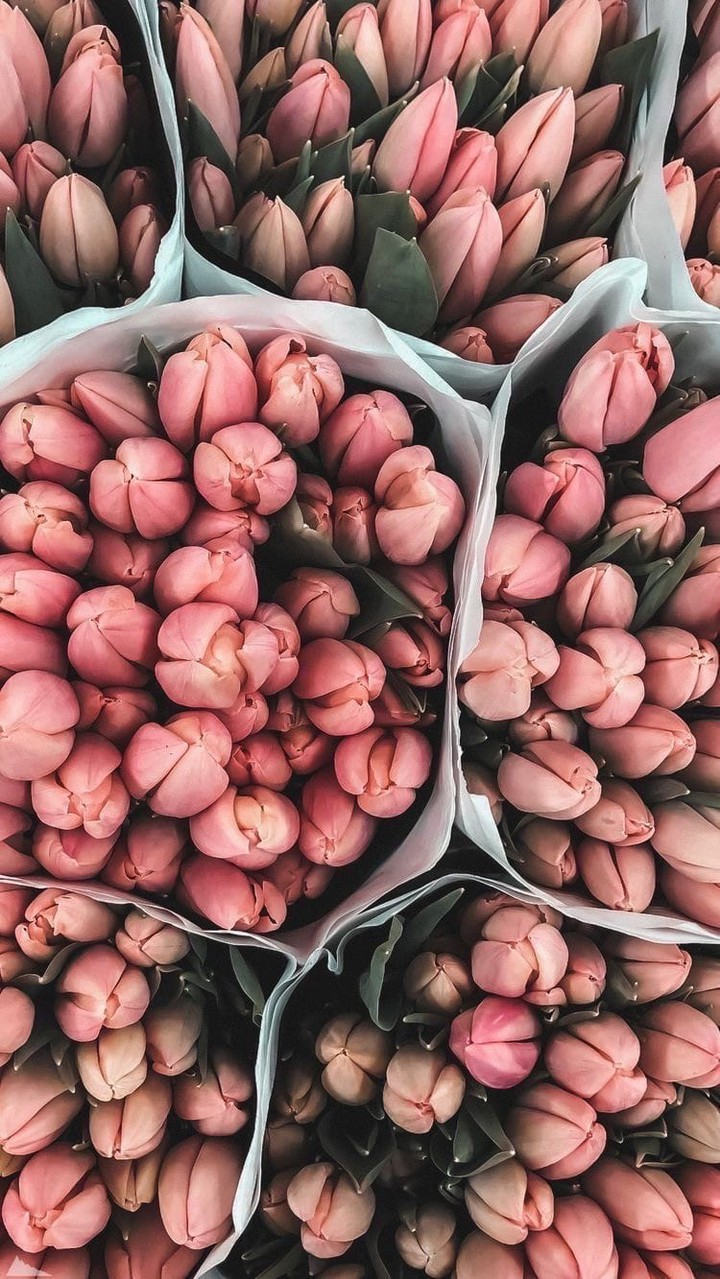 ♡