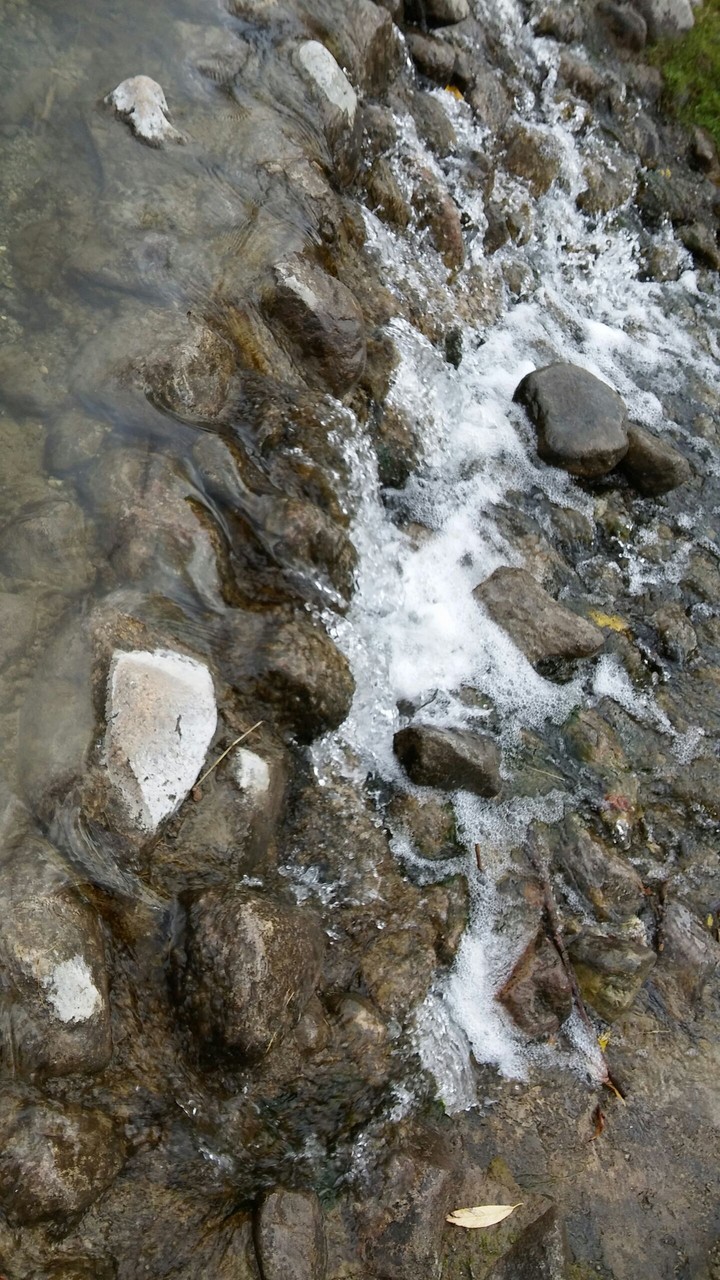 Rzeczka