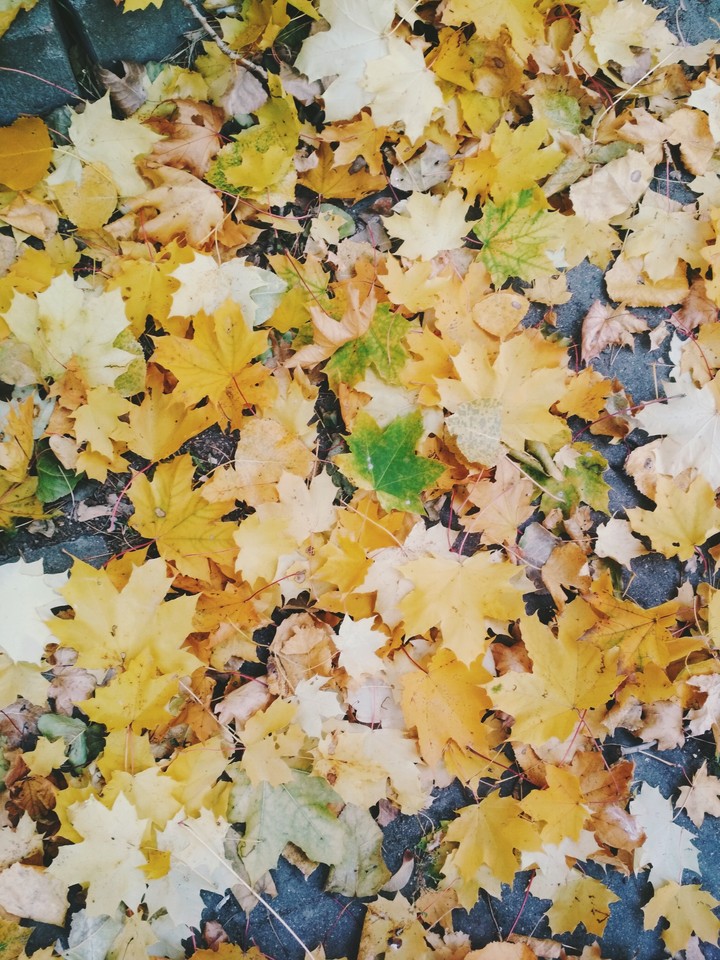 Осень