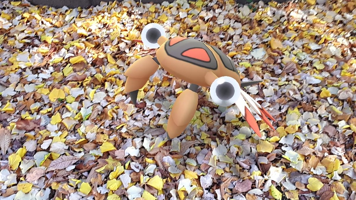 Autumn is wonderful!