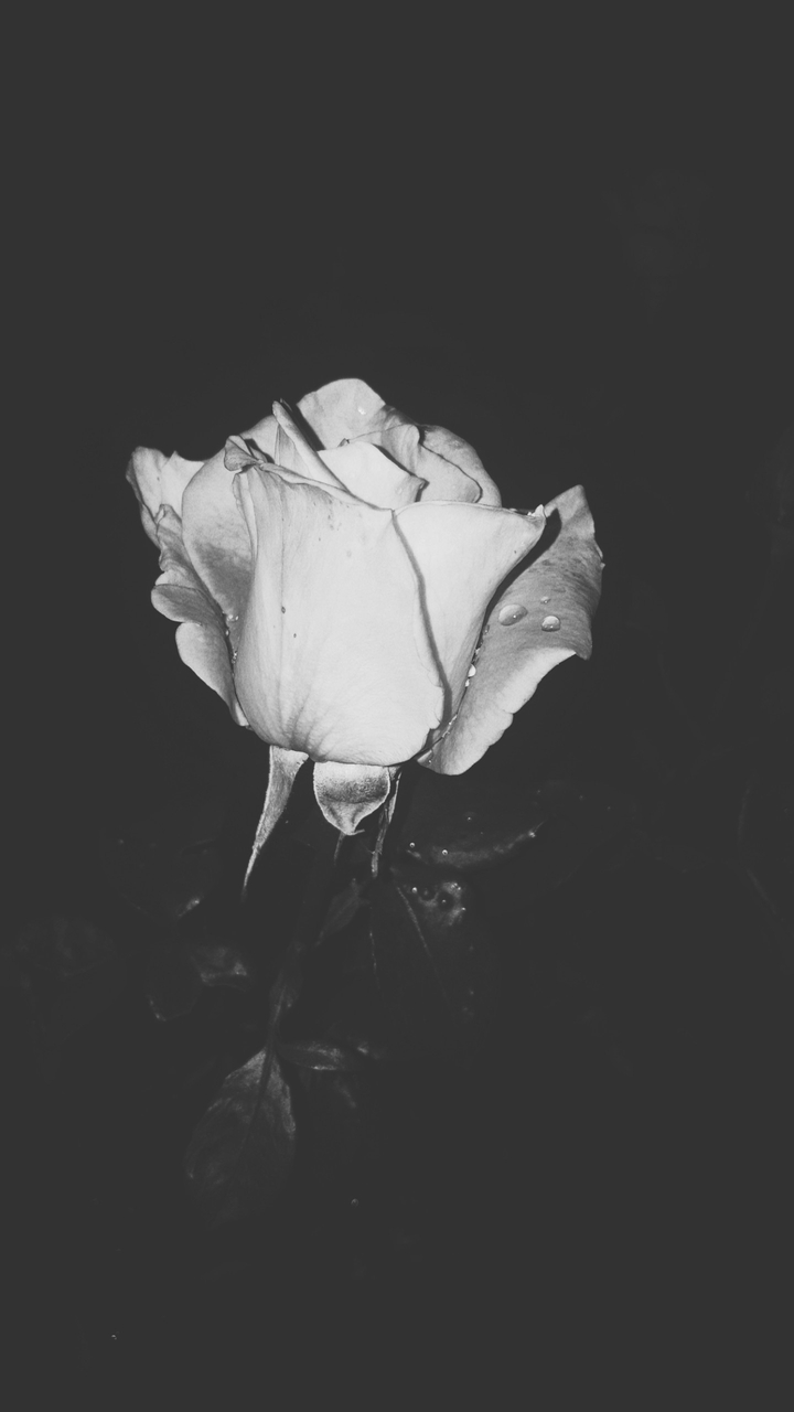 night