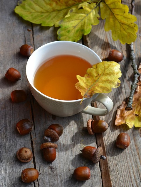 hazelnut, Chestnut壁纸