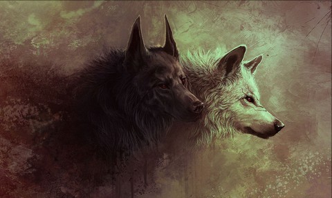 sfondi wildlife, wolfdog