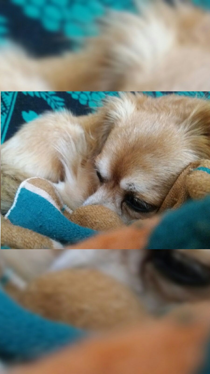 So cute 