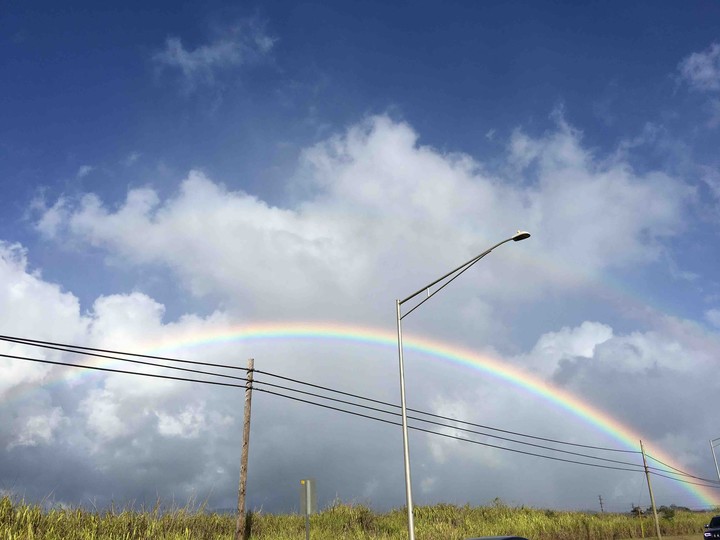 rainbows