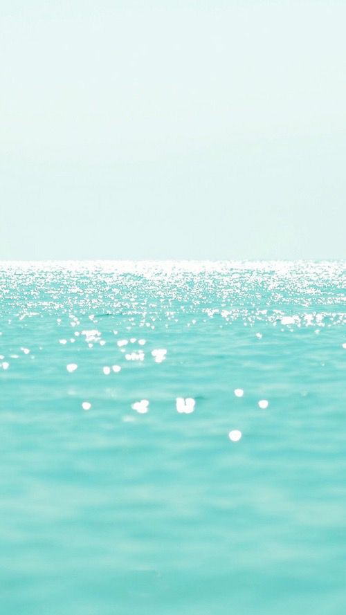 sea ​​/ summer || море / лето
