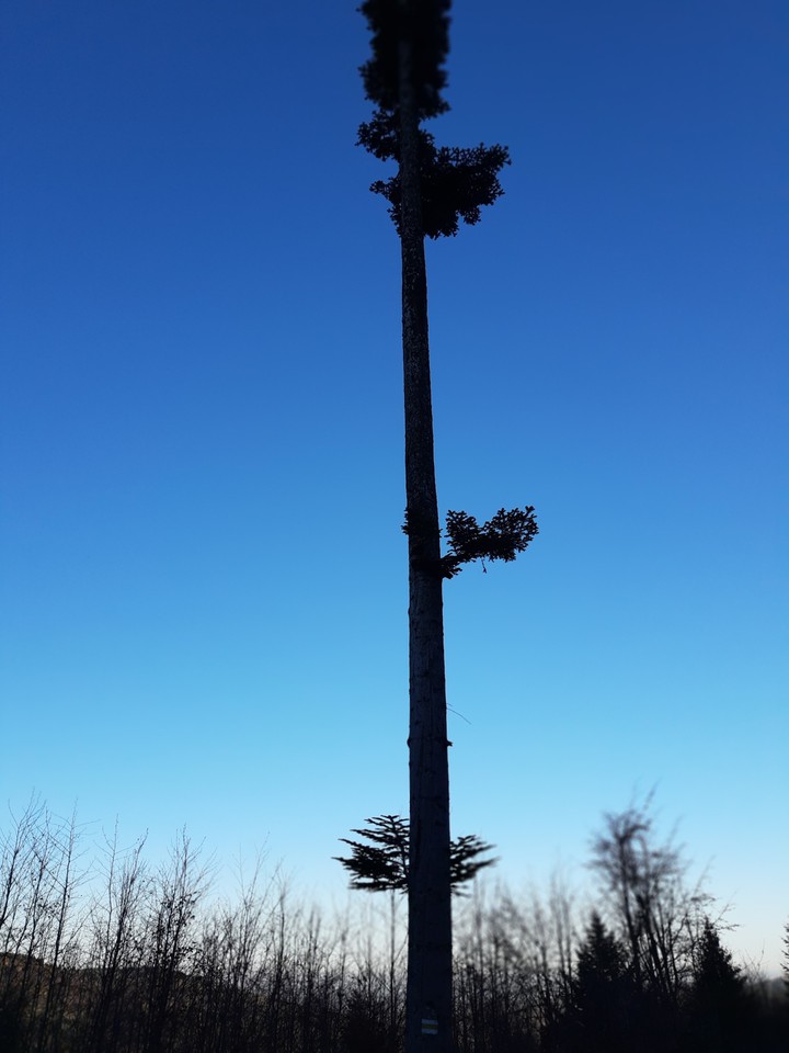 ?
