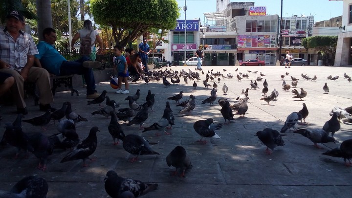 plaza