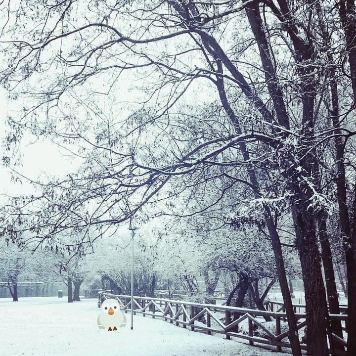 Winter Time