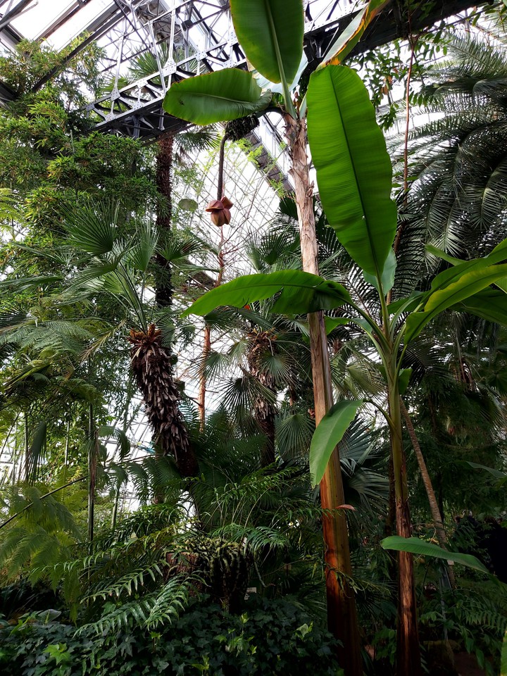 Botanical Garden 2