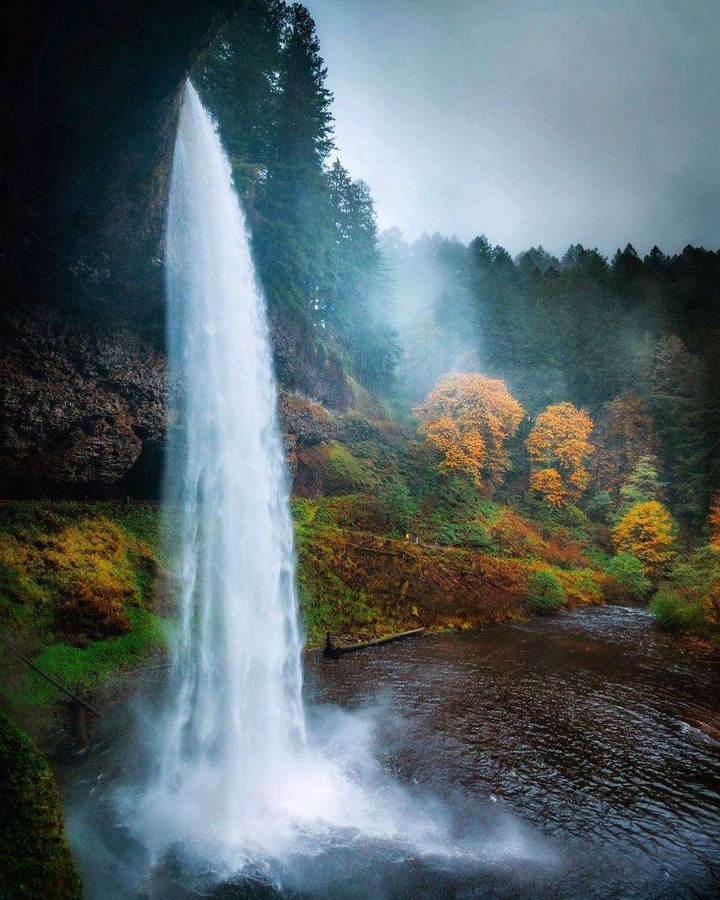 falls