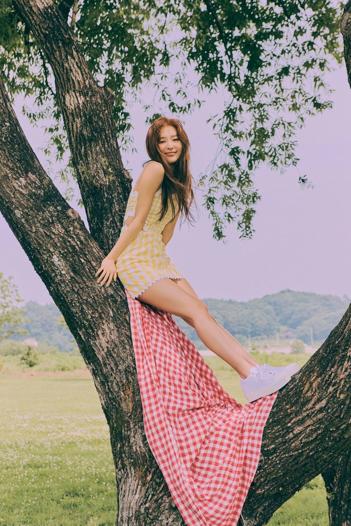 Red Velvet*