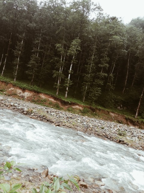 тапети rapid, river