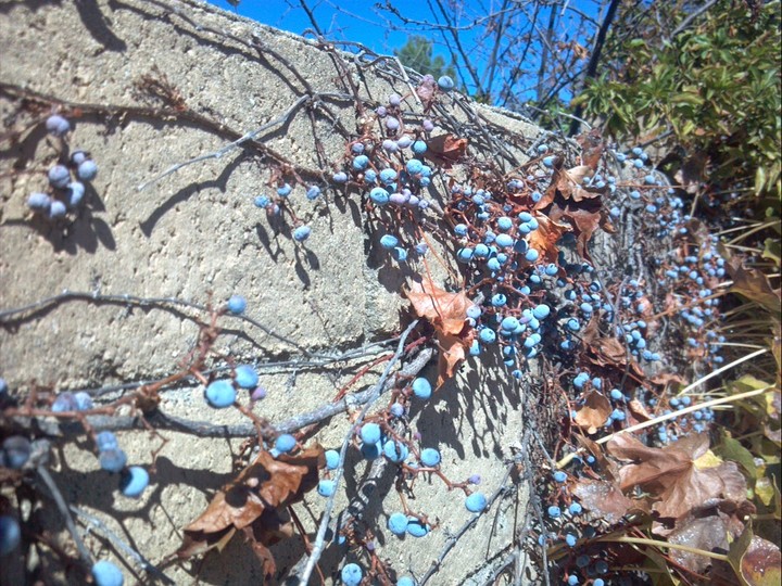 Fall on a Wall