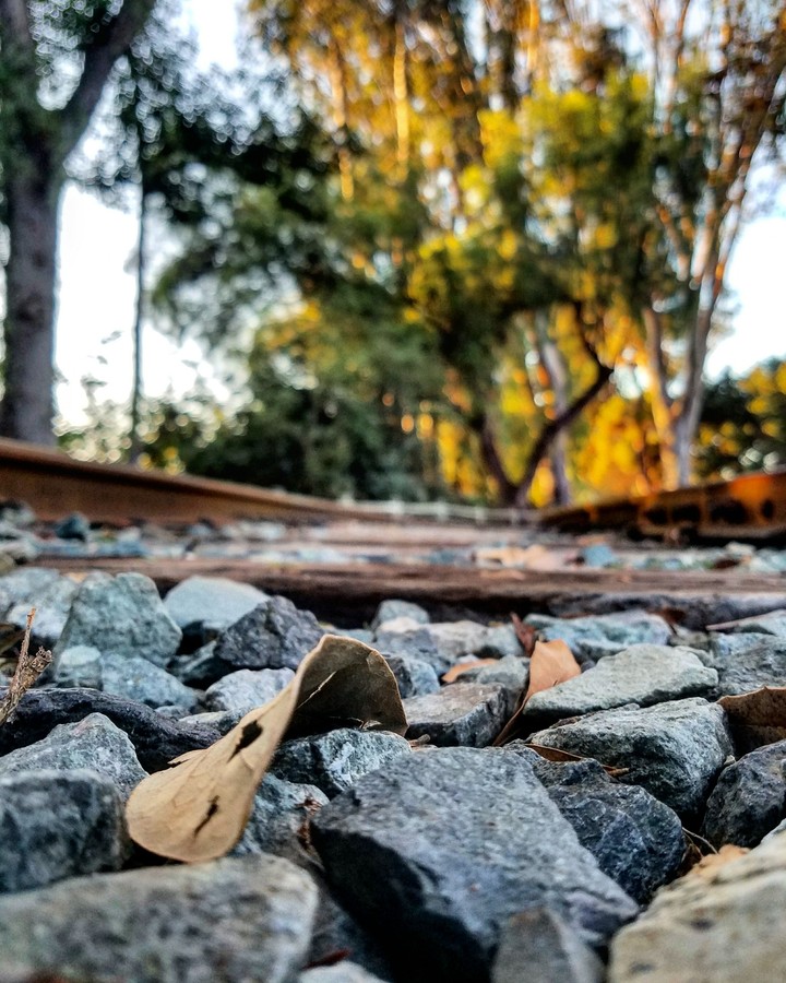 Old Railway Track