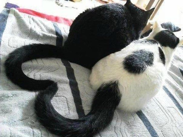 любовь